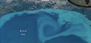 A Turquoise Tint for the Black Sea