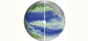 NASA Sees Early Signs El Nino Could Impact Fish Supply