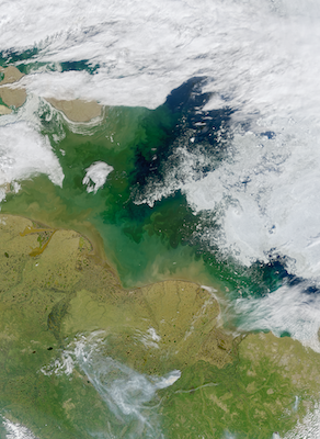 The Sea's Shifting Palette