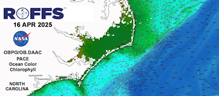 Forecasting Fish from Space