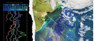 Río de la Plata Musical Project